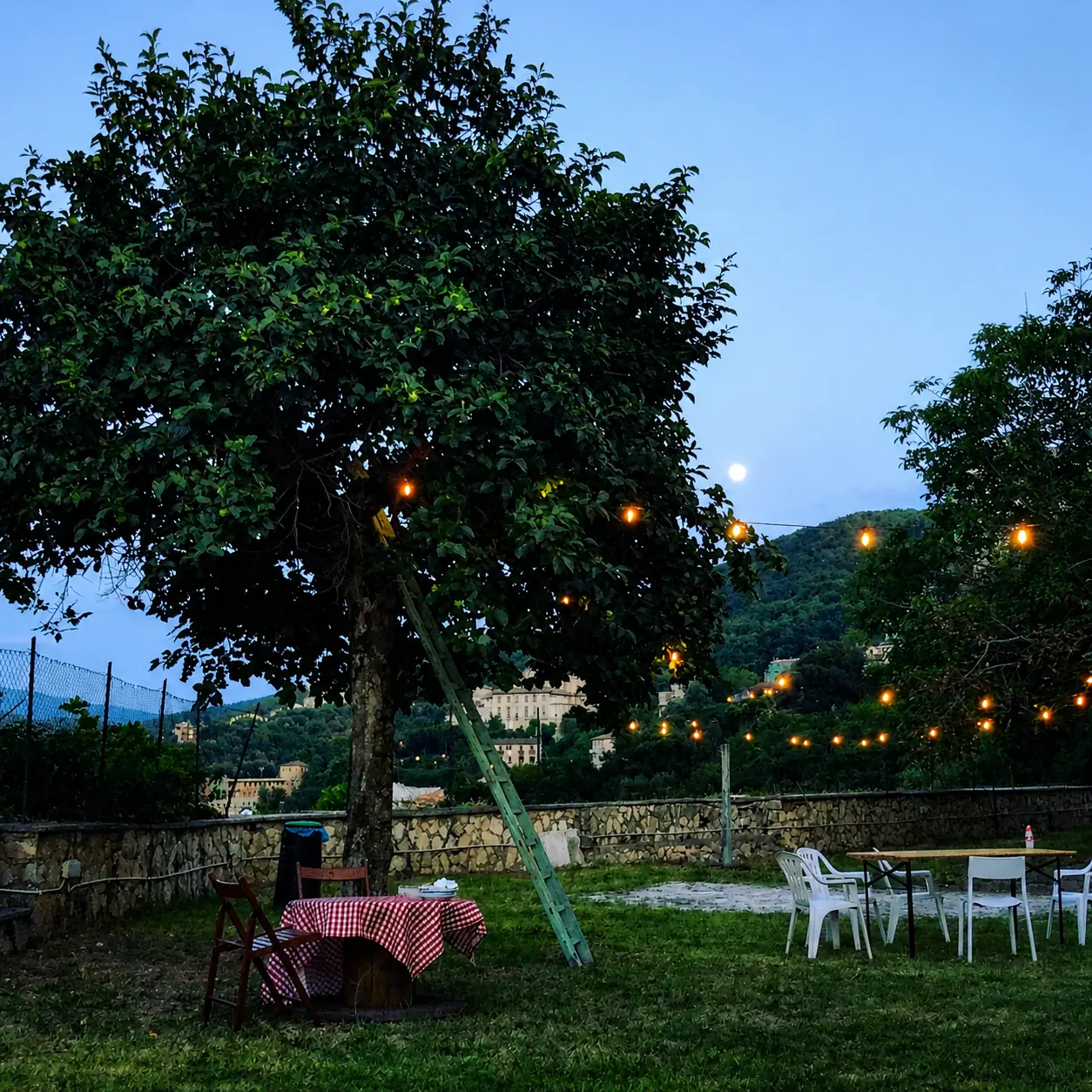 Giardino di Domus Narnia con l'albero e le luci accese all'imbrunire